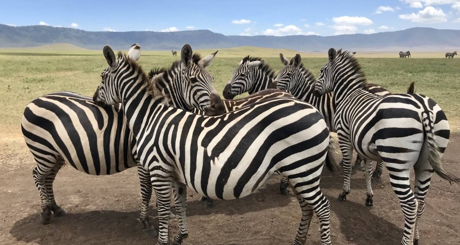 Arusha & Crater Circuit – 3-Day Arusha, Lake Manyara & Ngorongoro Safari