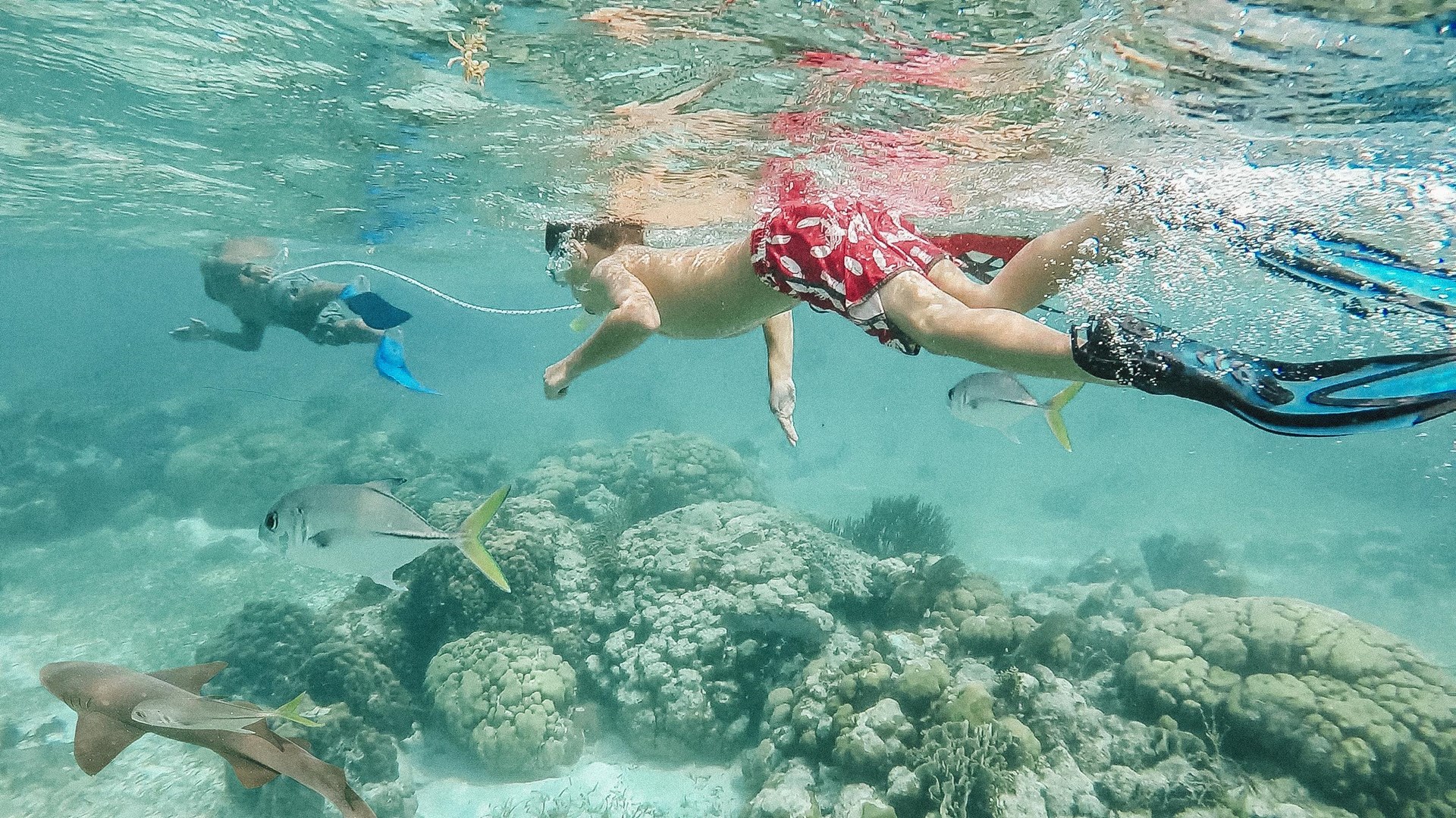 Mnemba Blue – 6-Day Zanzibar Mnemba Snorkeling & Beach Stay