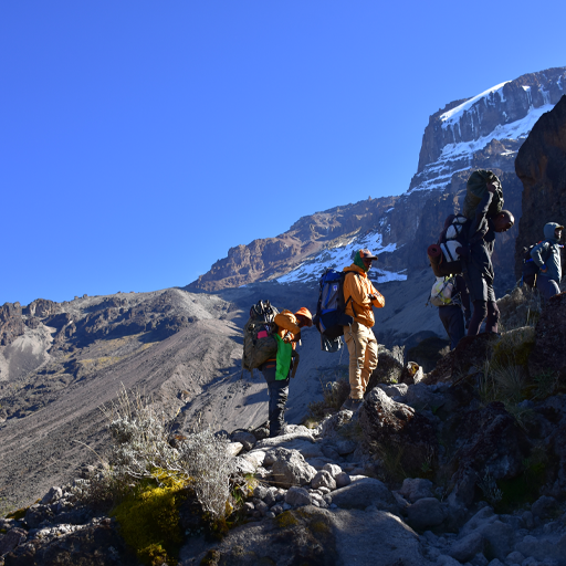 7days-machame-route