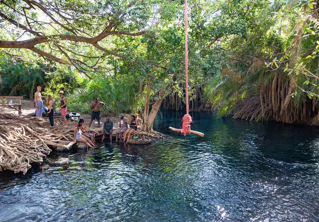 From Arusha: Lake Manyara National Park Full-Day Trip