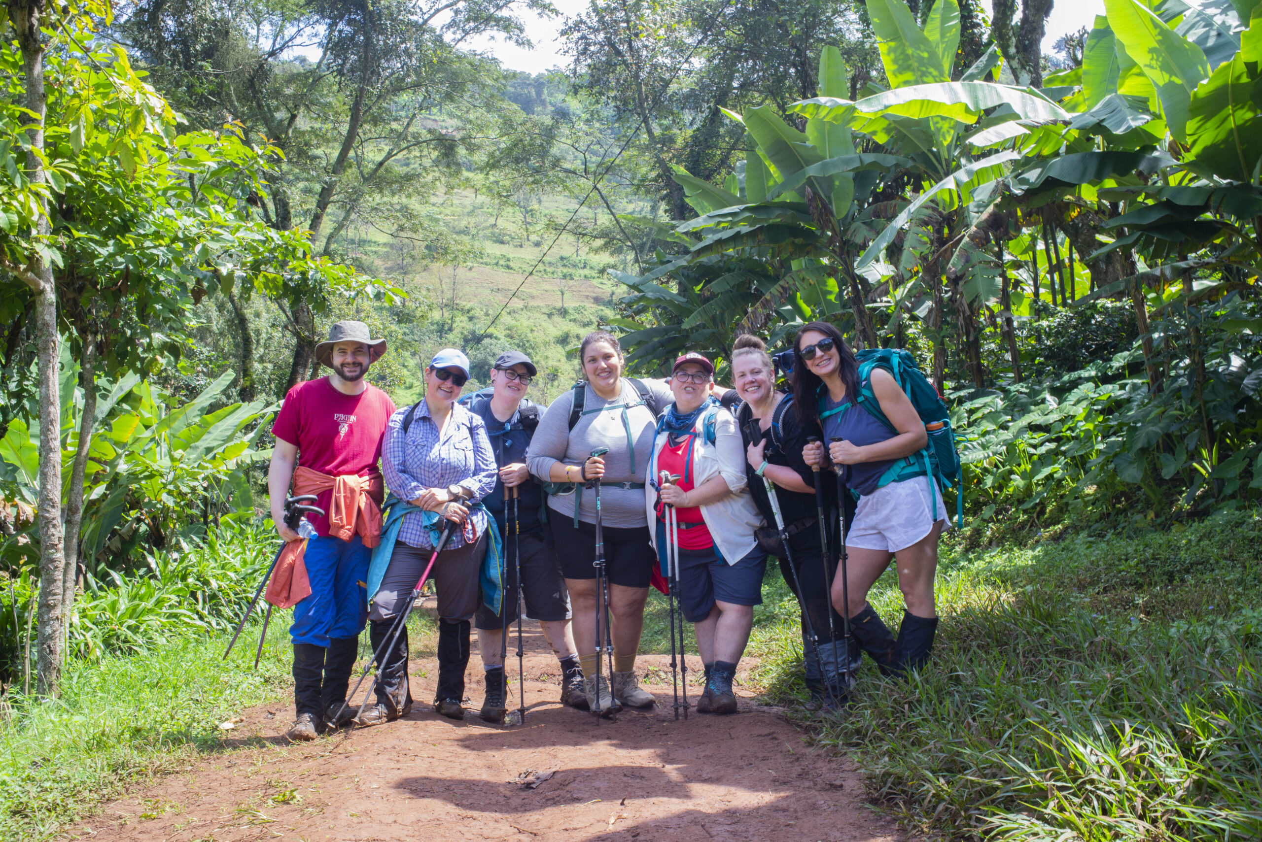 Kilimanjaro Day Hike: Explore Africa's Highest Peak in a Day
