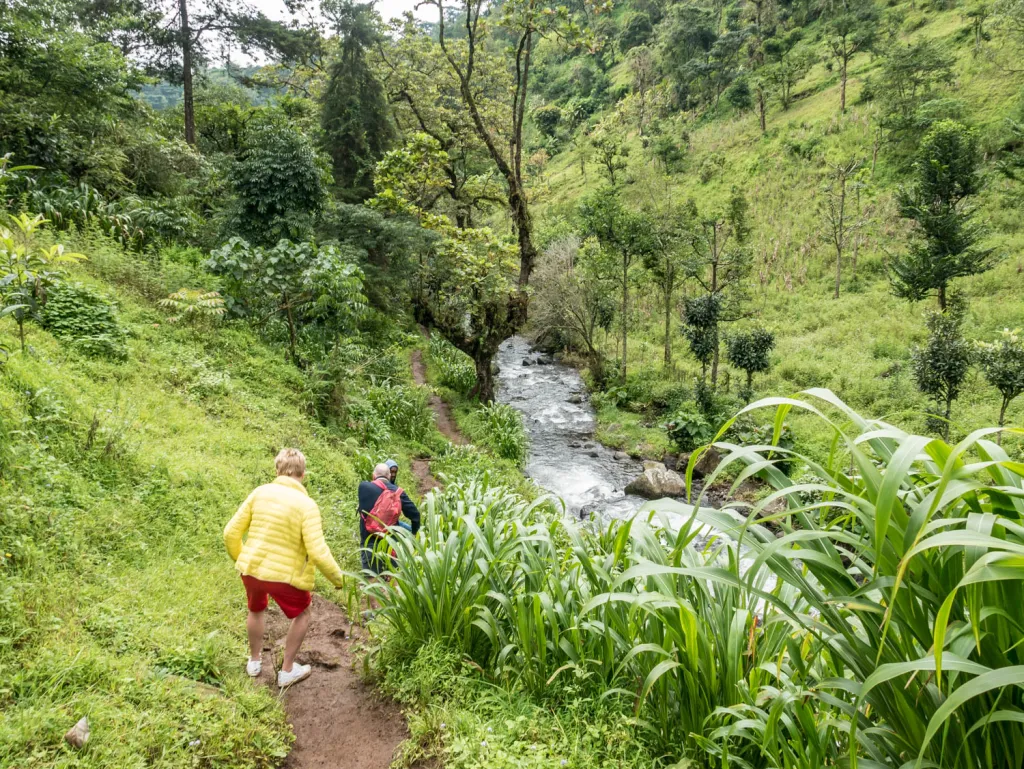 Arusha Guided Walking City