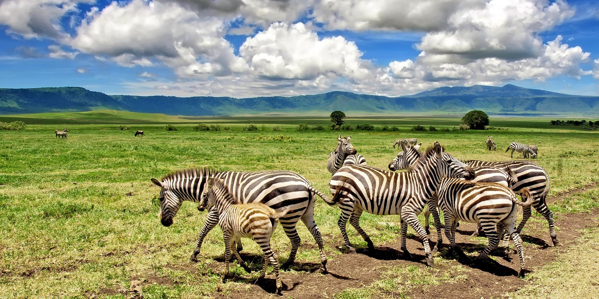 NGORONGORO CONSERVATION