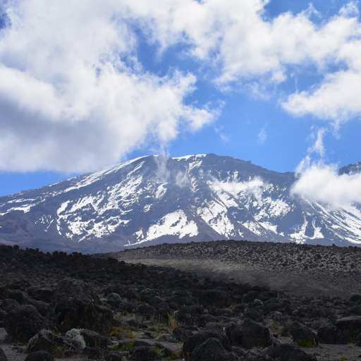 7-days-kilimanjaro-climb-rongai-route